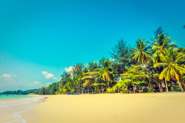 Güzel tropikal plaj ve deniz