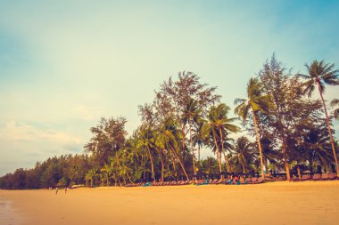 Güzel tropikal plaj ve deniz