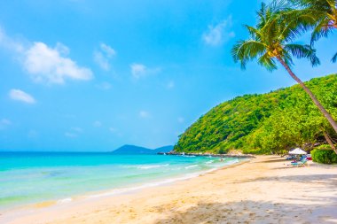 güzel tropikal plaj ve deniz manzara