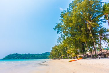 Güzel tropikal deniz ve kum plaj