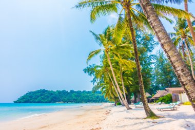 Güzel tropikal deniz ve kum plaj