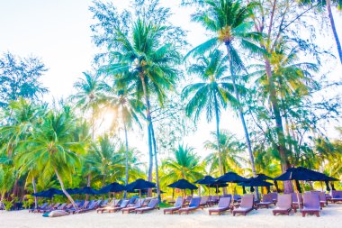 şemsiye ve güzel tropik sahil sandalye