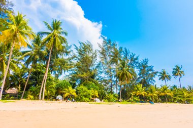 Güzel tropikal plaj ve deniz