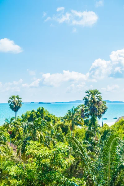 Vista ariale del mare e della spiaggia — Foto Stock