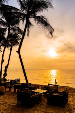 Sahilde güzel Hindistan cevizi palmiye ağaçları