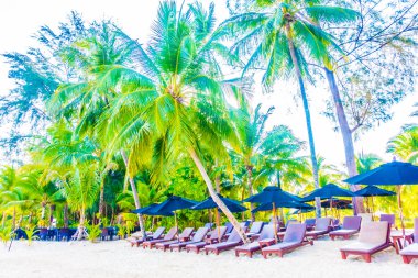 şemsiye ve güzel tropik sahil sandalye