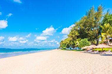 Güzel tropikal plaj ve deniz