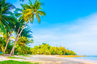 şemsiye ve güzel tropik sahil sandalye
