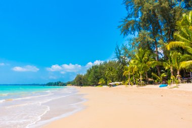 Güzel tropikal plaj ve deniz