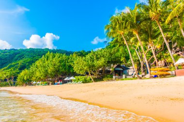 Güzel tropikal plaj ve deniz