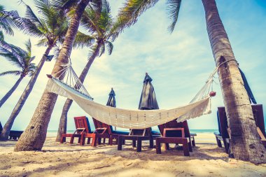Tropik sahilde boş hamak