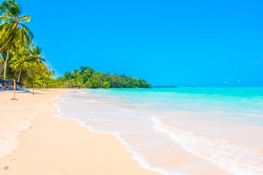 Güzel tropikal deniz ve plaj