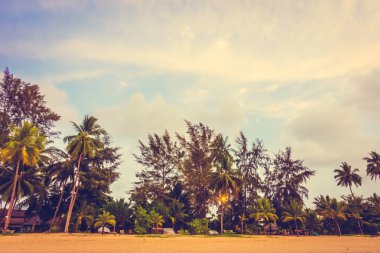 Güzel tropikal plaj ve deniz