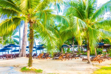 şemsiye ve güzel tropik sahil sandalye