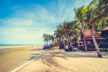 şemsiye ve güzel tropik sahil sandalye