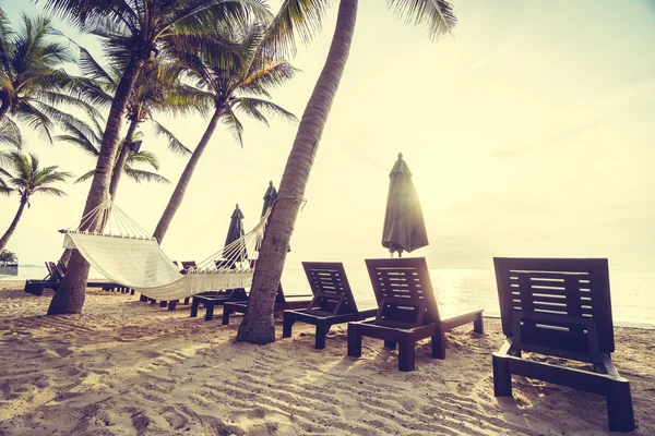 ビーチに美しい椰子の木 — ストック写真