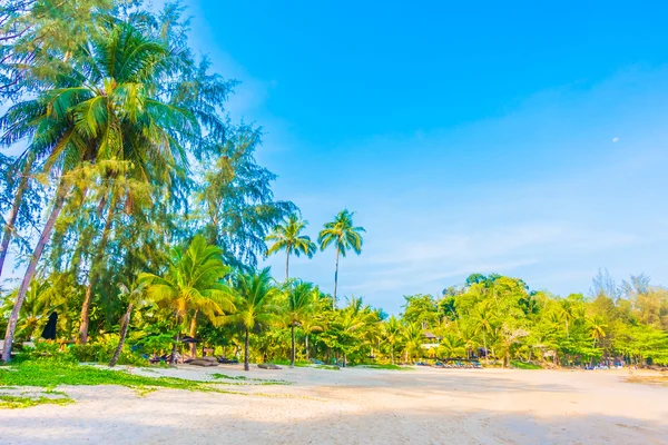 Ombrelloni e sedie sulla bellissima spiaggia tropicale — Foto Stock