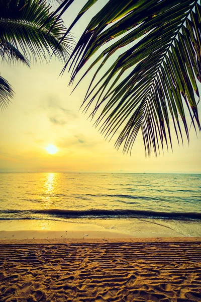 Пальмы кокоса на пляже — стоковое фото