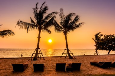 Sahildeki palmiye ağacı