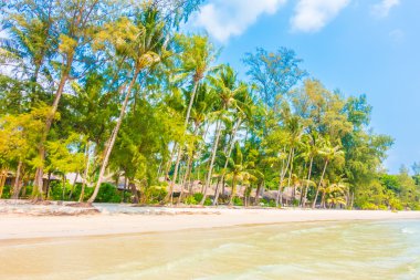 Güzel tropikal deniz ve kum plaj