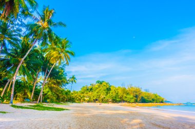 şemsiye ve güzel tropik sahil sandalye