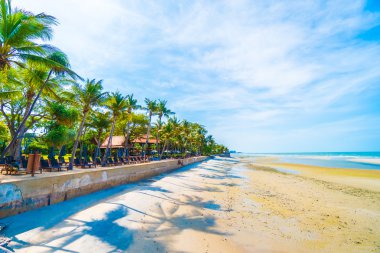 Güzel tropikal plaj ve deniz