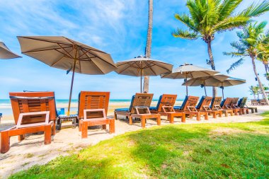 Güzel tropikal plaj ve deniz