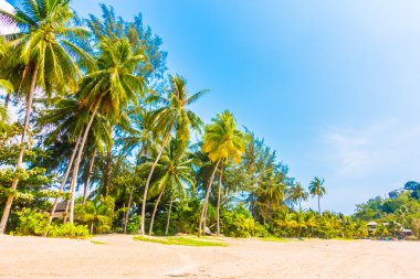 Güzel tropikal plaj ve deniz