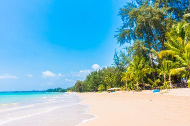 Güzel tropikal plaj ve deniz
