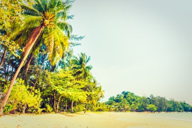 Güzel tropikal plaj ve deniz