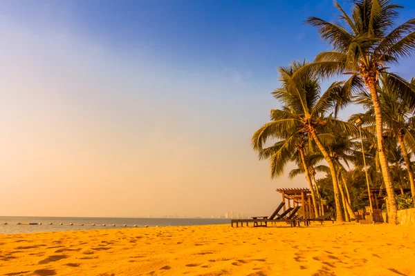 Красивый пляж и море с пальмой — стоковое фото