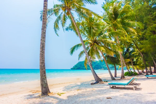 Güzel tropikal deniz ve kum plaj