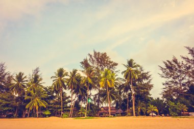 Güzel tropikal plaj ve deniz