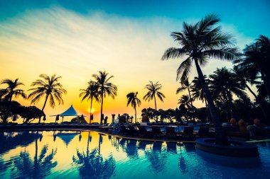 Güzel lüks şemsiyeleri ve sandalyeler