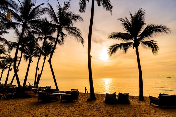 Sahilde güzel Hindistan cevizi palmiye ağaçları