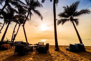 Sahilde güzel Hindistan cevizi palmiye ağaçları