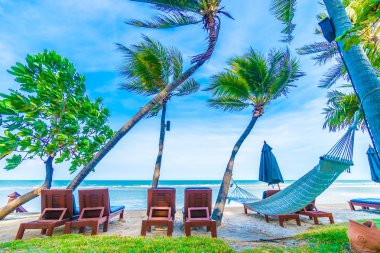 Güzel tropikal plaj ve deniz