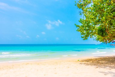 Güzel tropikal plaj ve deniz