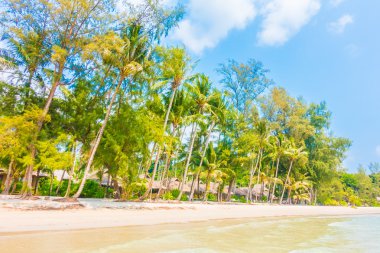 Güzel tropikal deniz ve kum plaj