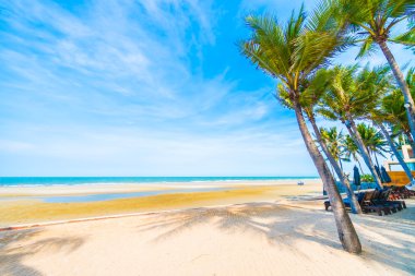 Güzel tropikal plaj ve deniz