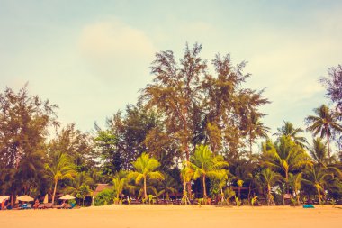 Güzel tropikal plaj ve deniz