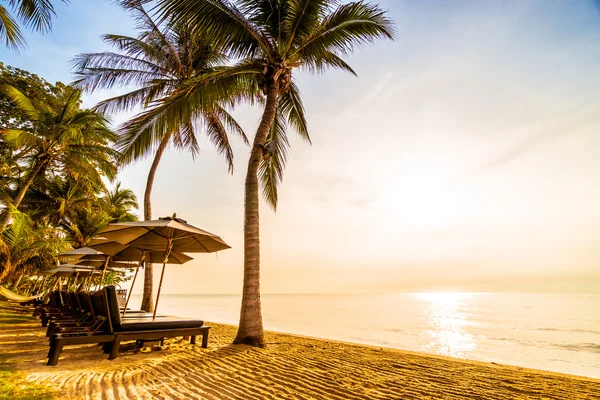 Belle palme da cocco sulla spiaggia — Foto Stock