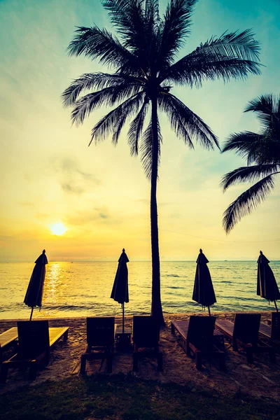 Beautiful coconut palm trees on beach — Stock Photo, Image