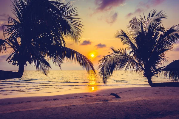 Silhouettes of coconut palm trees — Stock Photo, Image