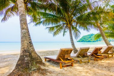 güzel tropik okyanus