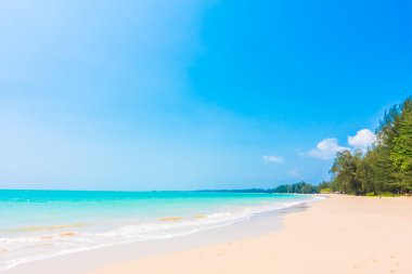 Güzel tropikal plaj ve deniz