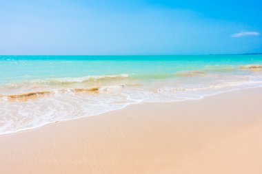 Güzel tropikal plaj ve deniz