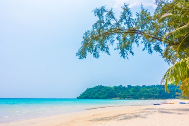 Güzel tropikal deniz ve kum plaj