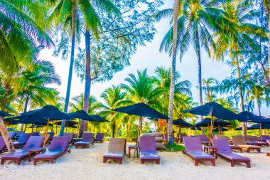 şemsiye ve güzel tropik sahil sandalye