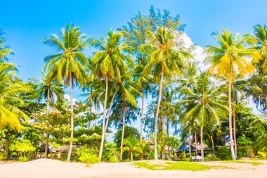 Güzel tropikal plaj ve deniz